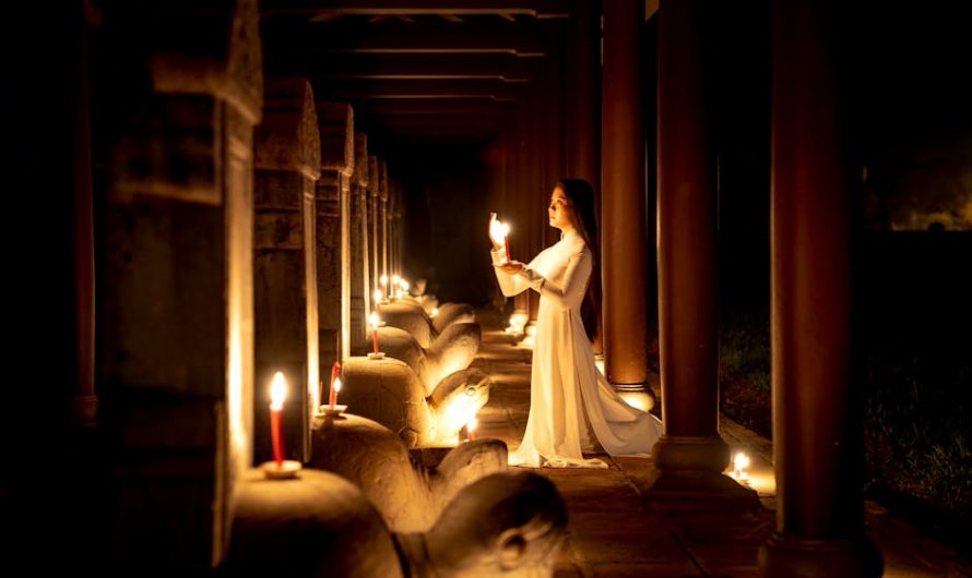 Диплом с занесением в реестр выгодная цена